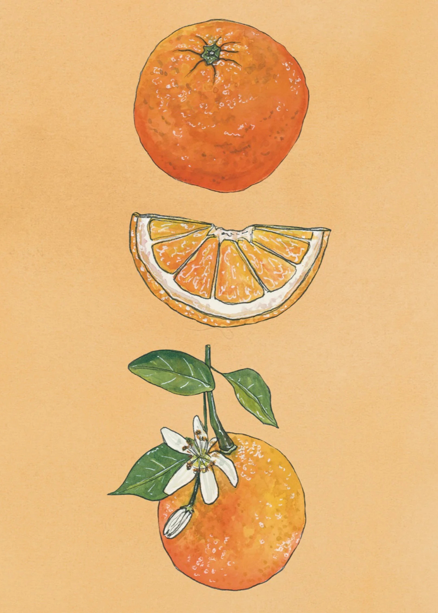 Oranges art print