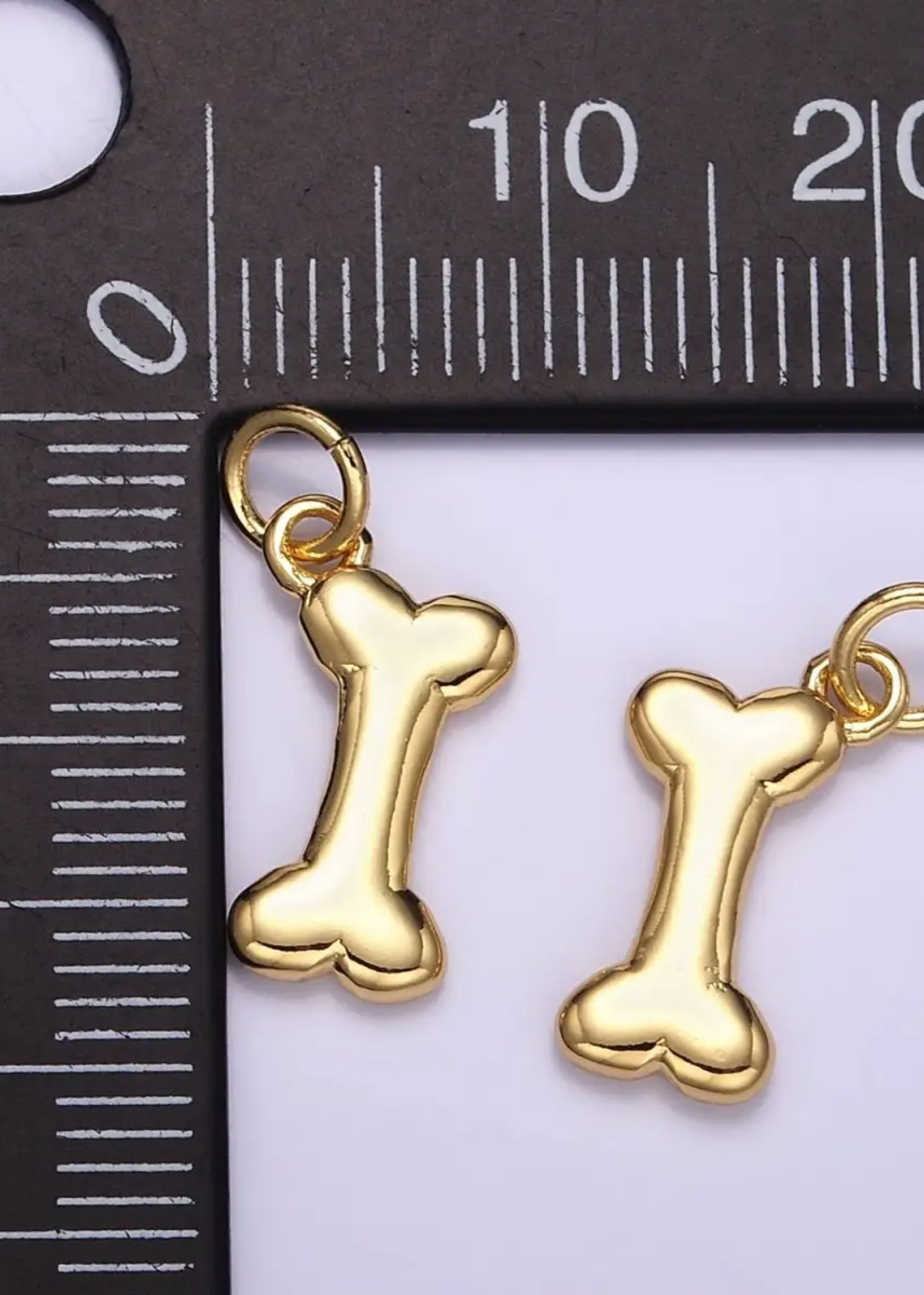 Dog bone charm