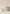 No.6 cactus and aloe candle