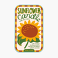 Sunflower candle
