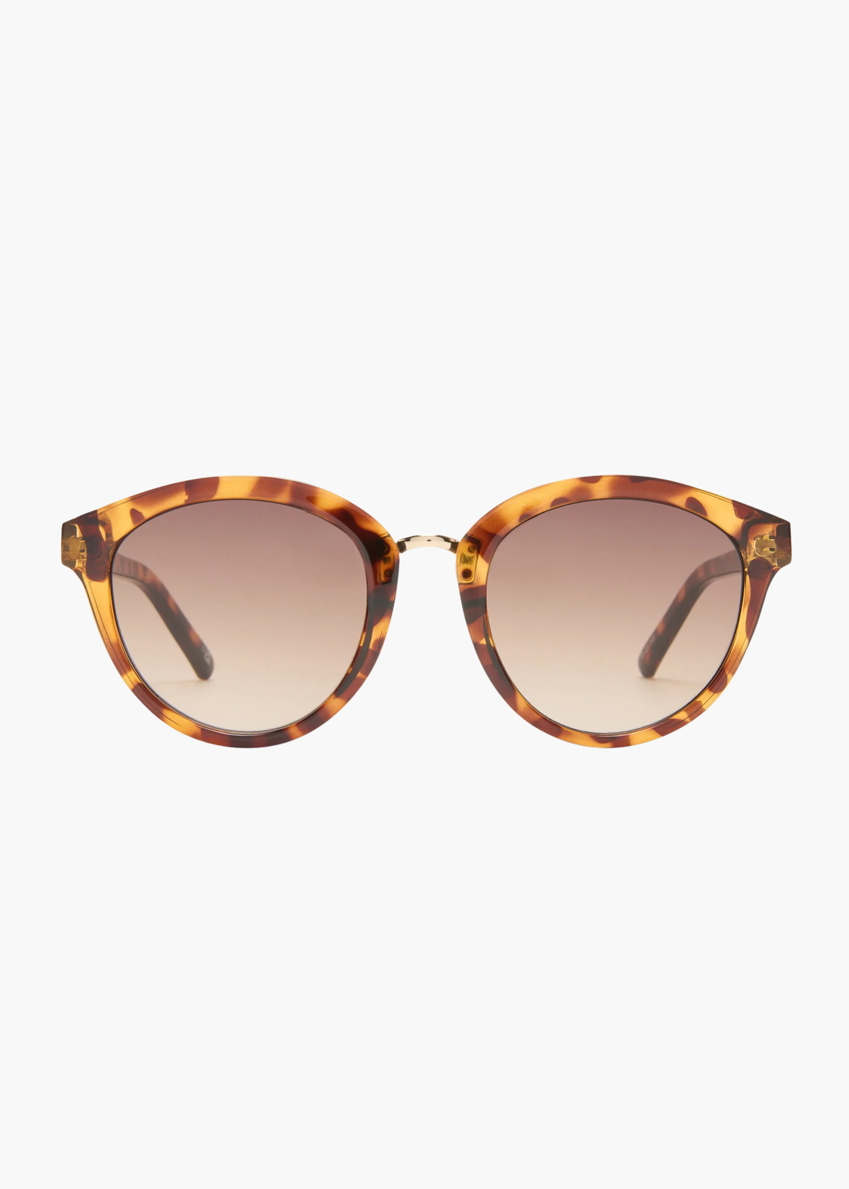 Influx sunglasses, cola tort