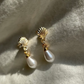 Beyond the sea earrings