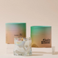 No.6 cactus and aloe candle
