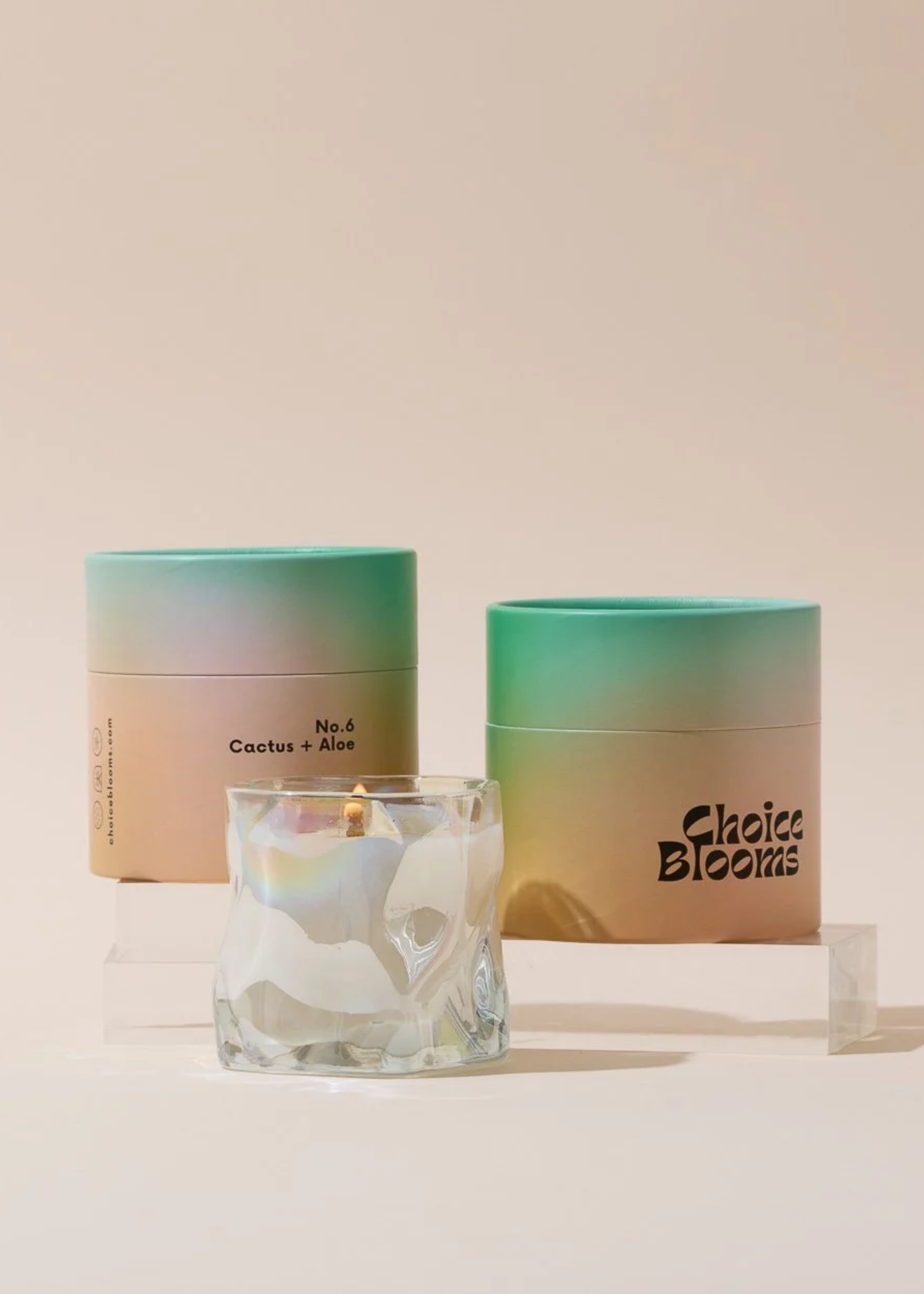 No.6 cactus and aloe candle
