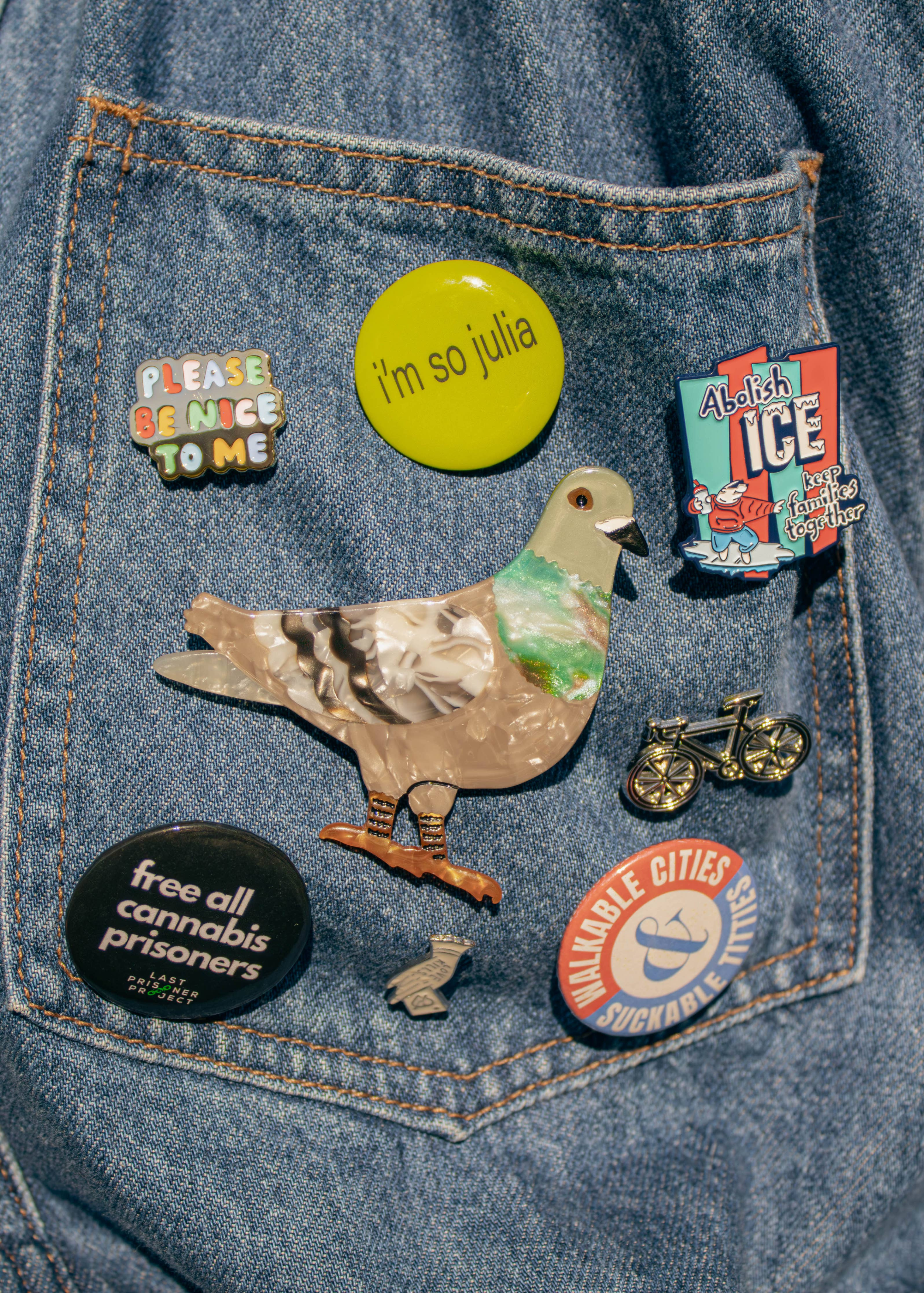 Pigeon brooch