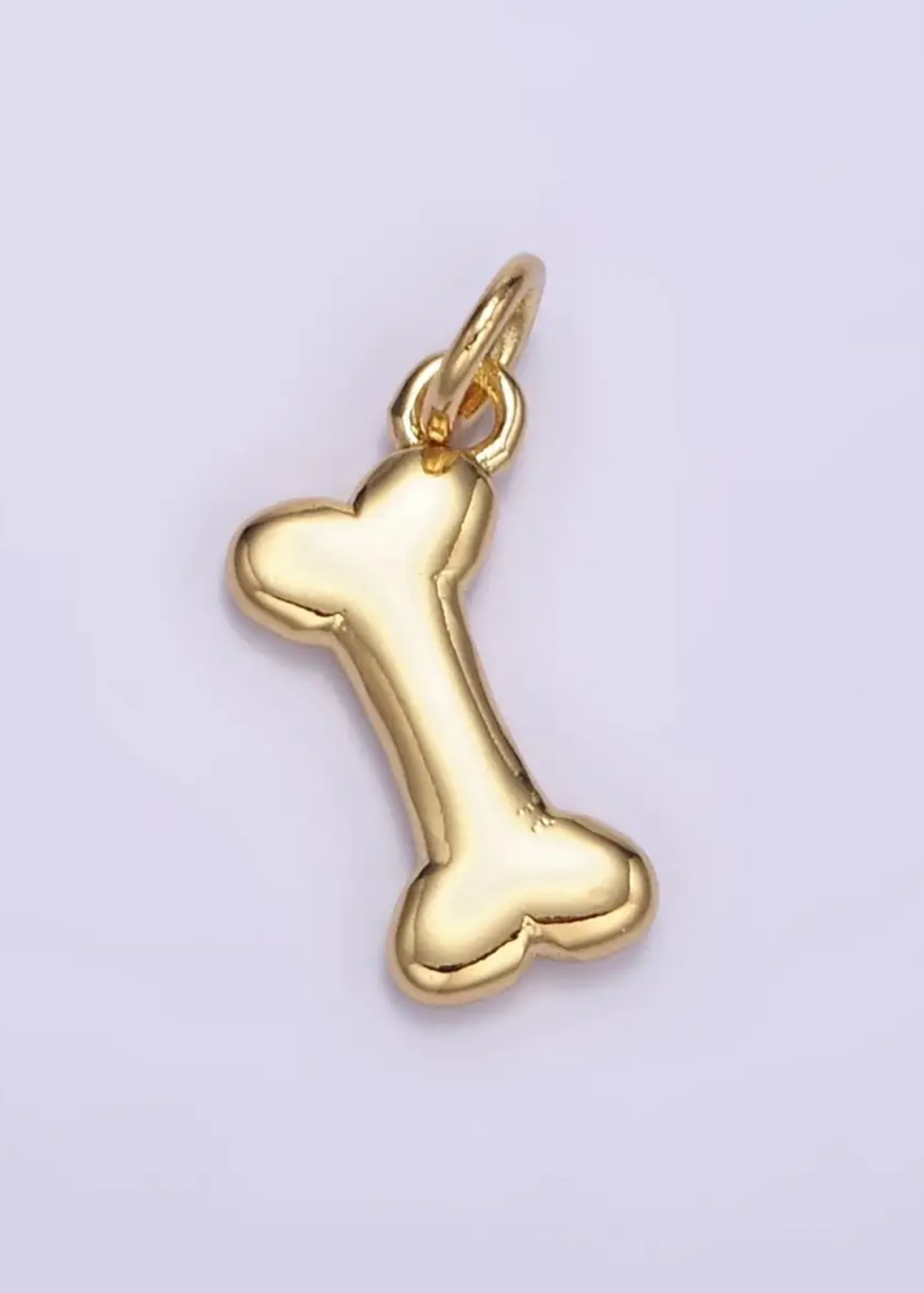 Dog bone charm