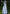 Vaughn dress, white