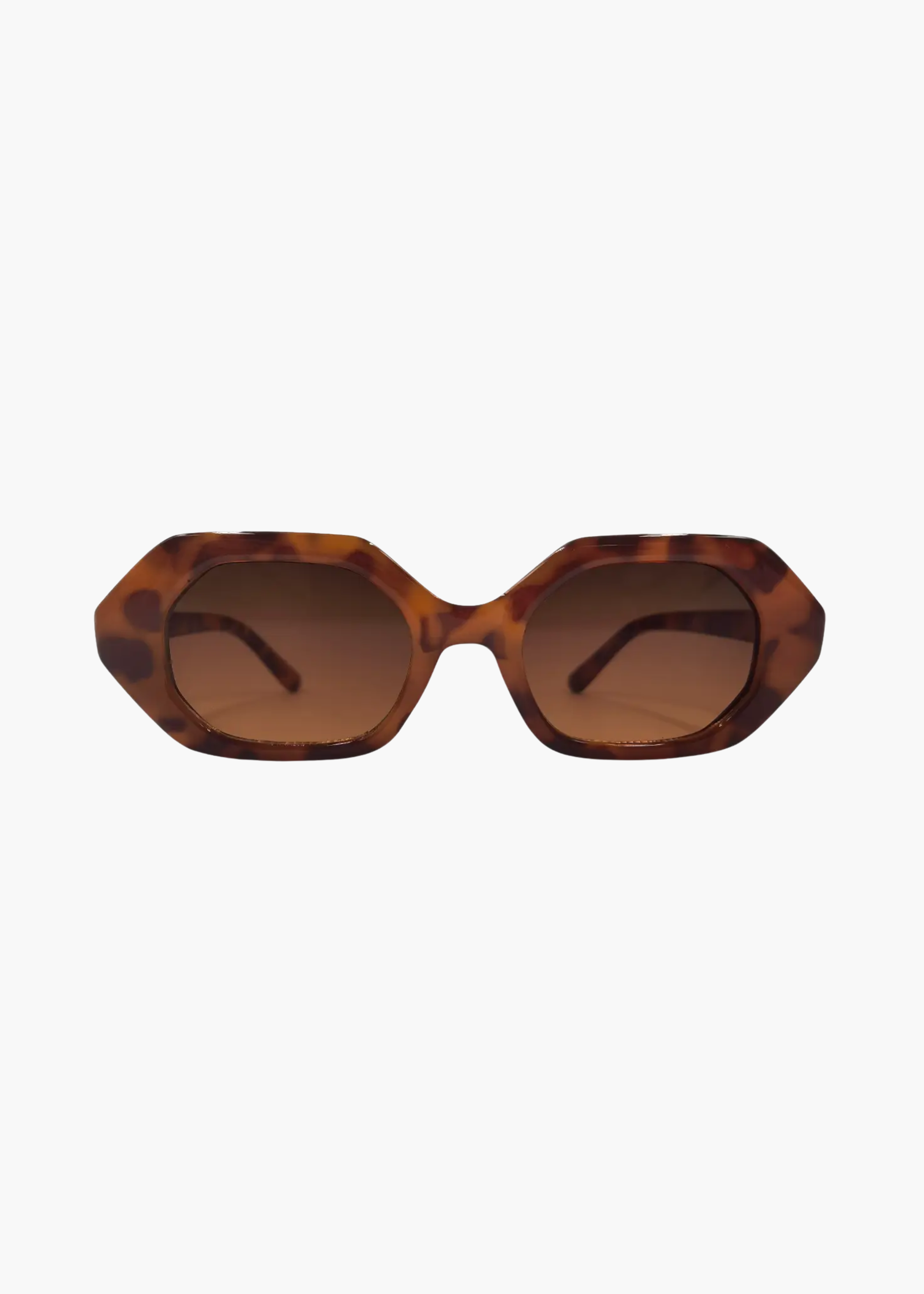 Came to win sunglasses, tortoise