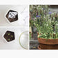 Plantable TYSM card