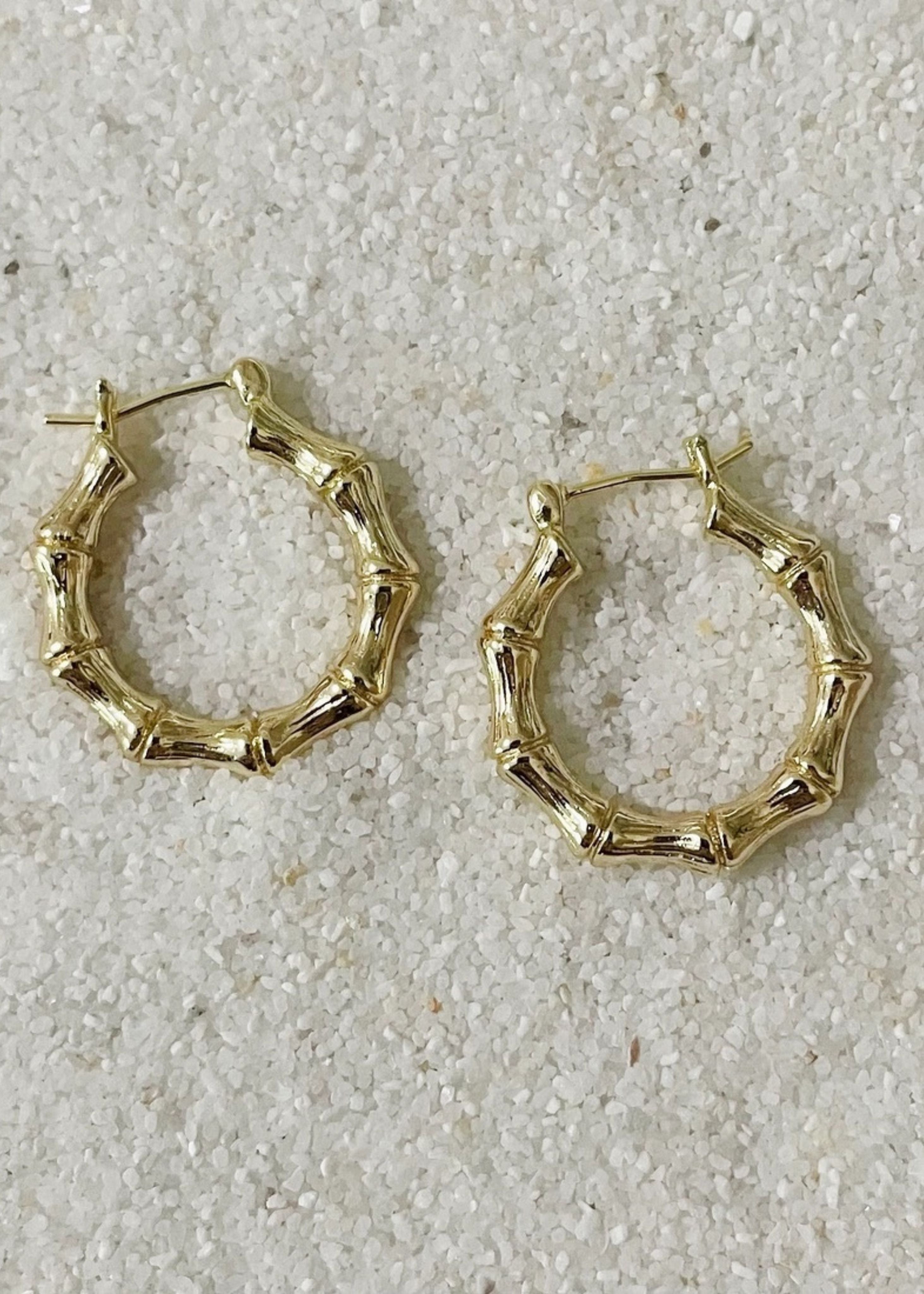 Paradise hoop earrings