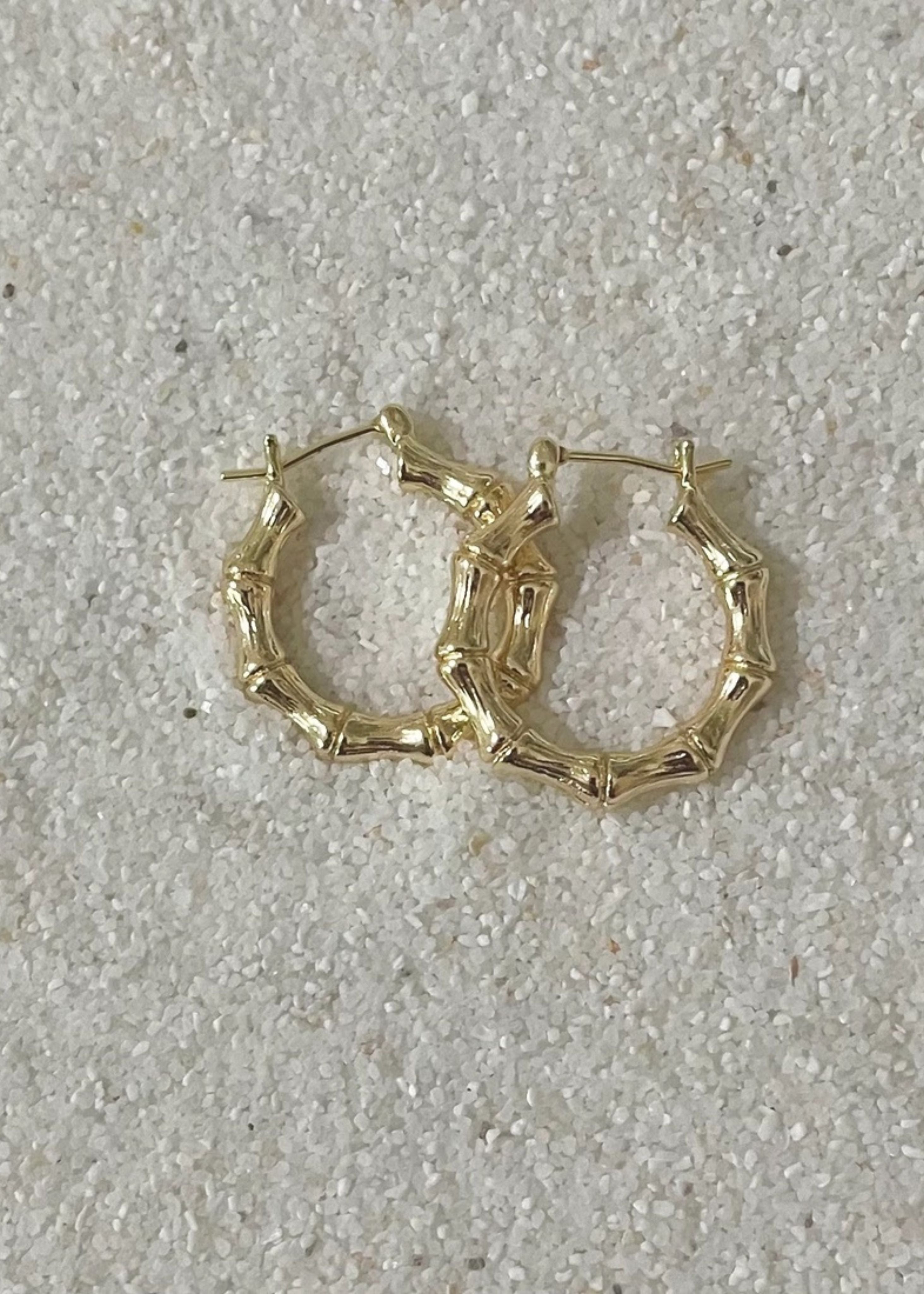 Paradise hoop earrings