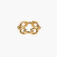 Big chain ring