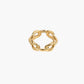 Big chain ring