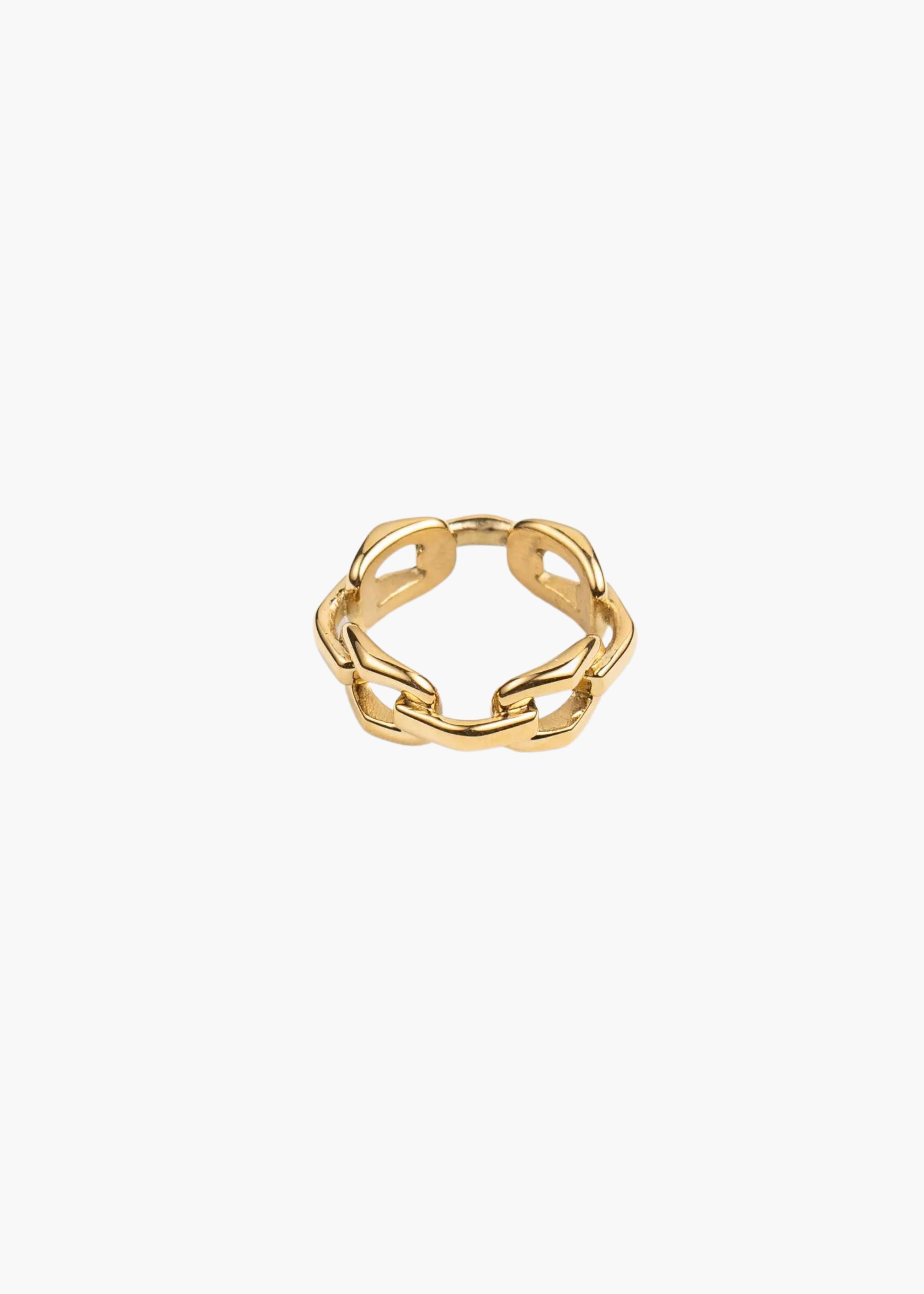 Big chain ring