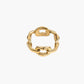 Big chain ring