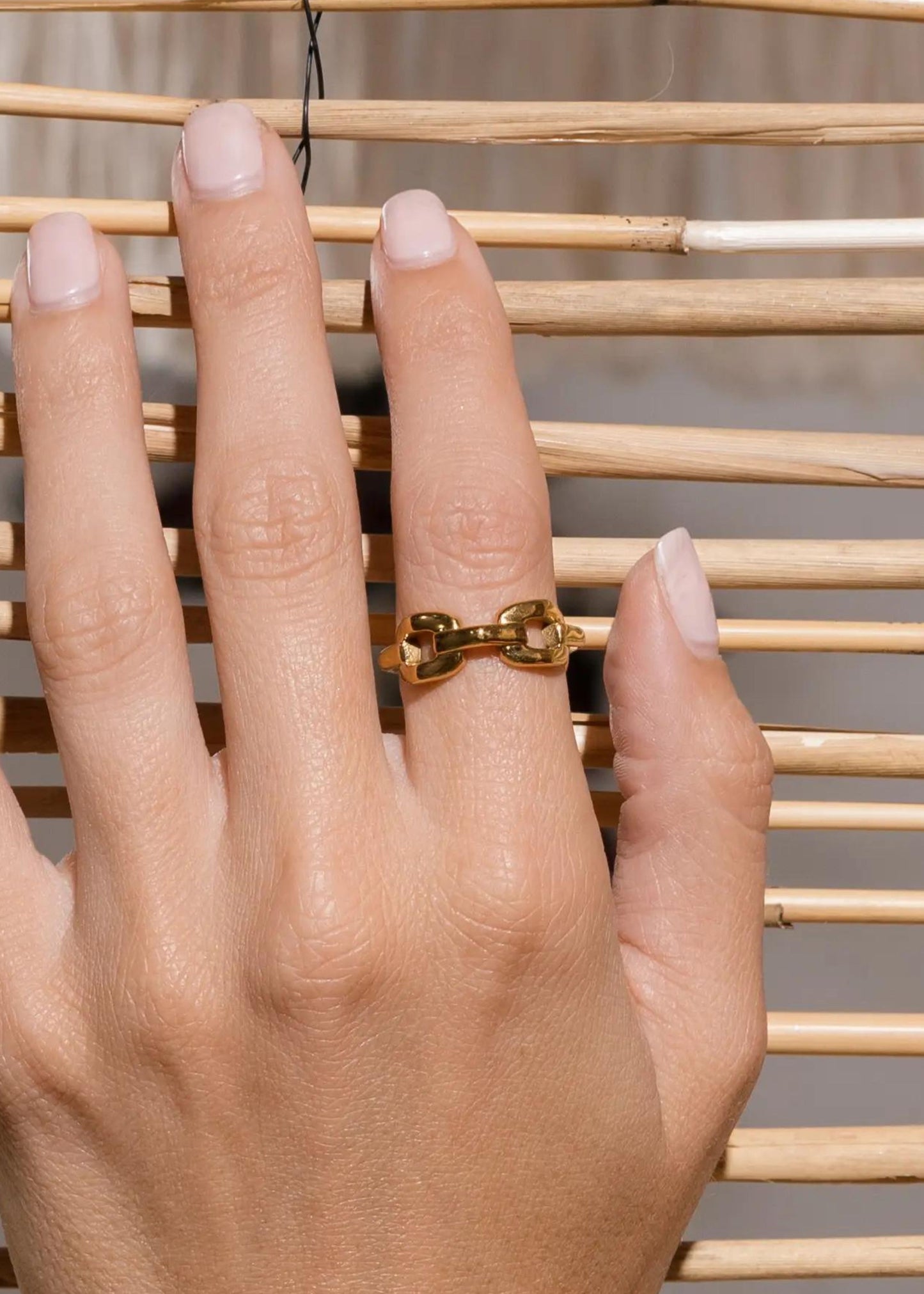 Big chain ring