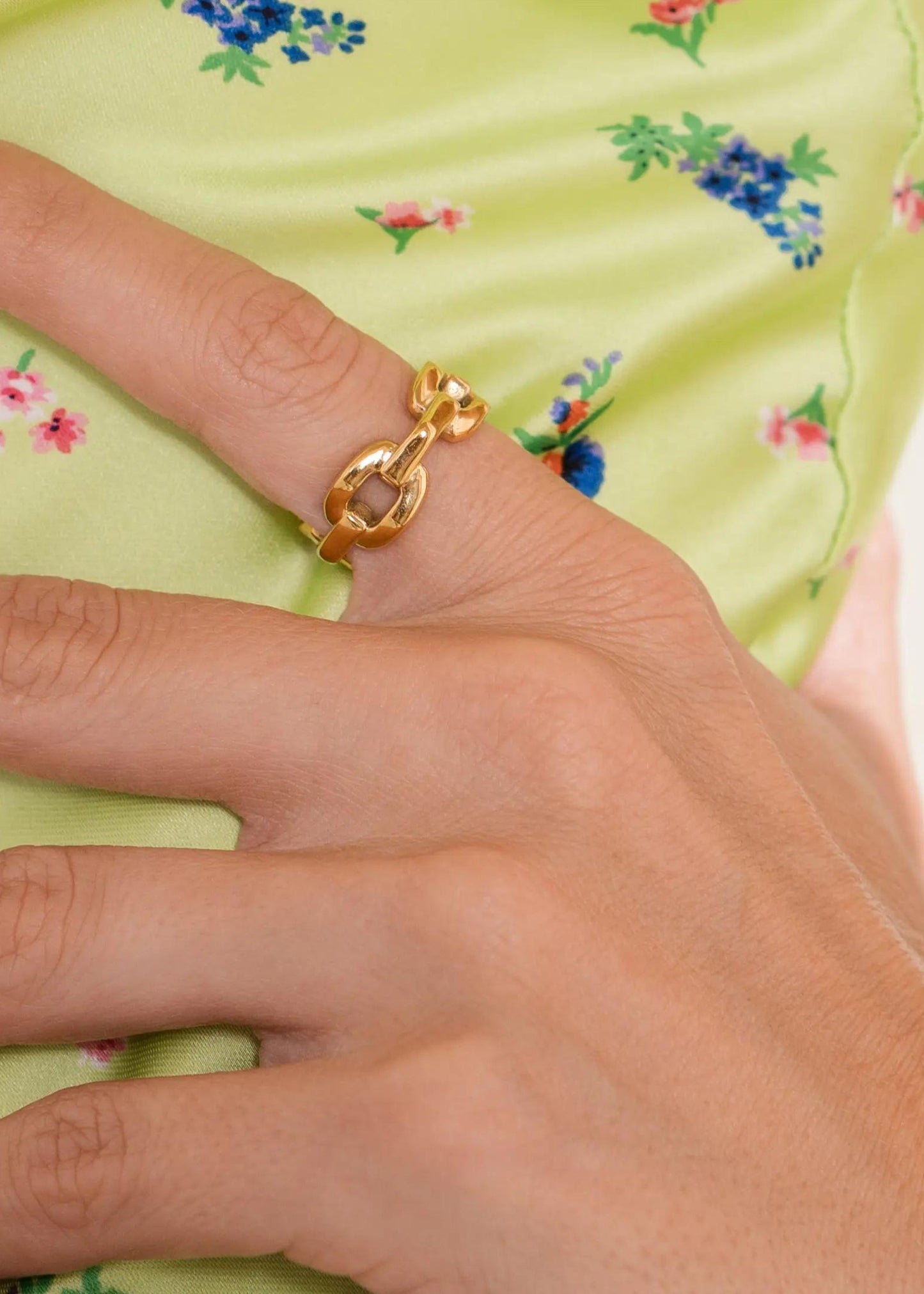 Big chain ring