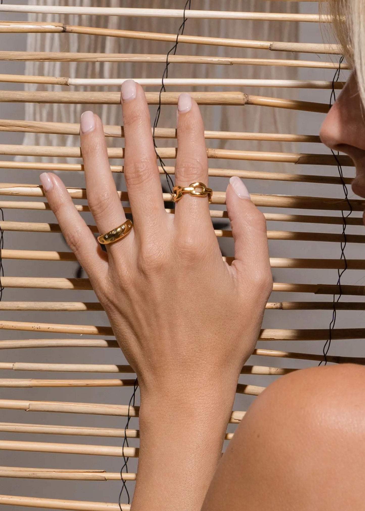 Big chain ring